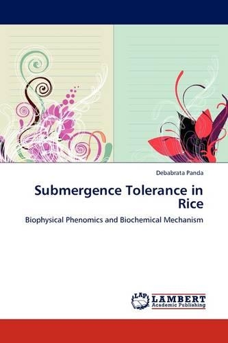 Submergence Tolerance in Rice