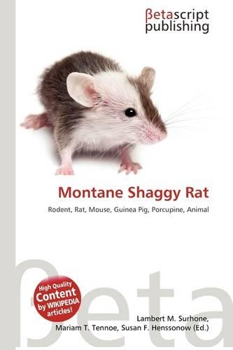 Montane Shaggy Rat