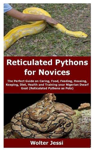 Reticulated Pythons for Novices