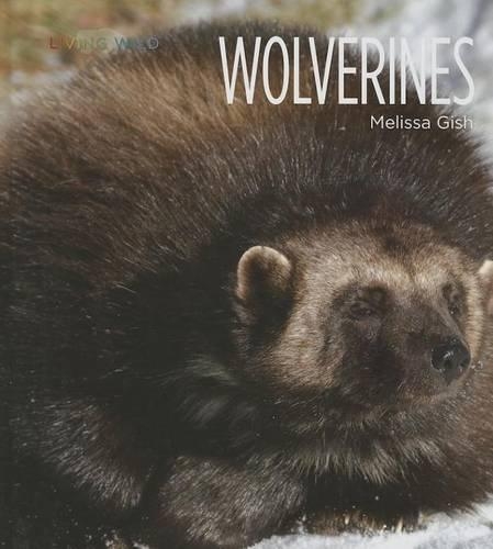 Wolverines: (Living Wild)