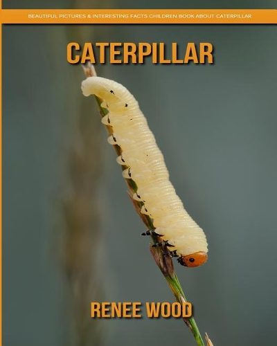 Caterpillar