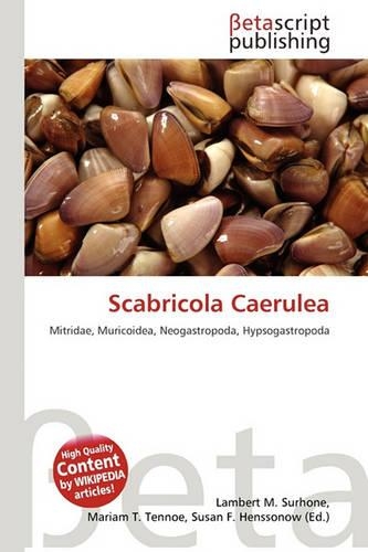 Scabricola Caerulea