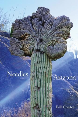 Needles Arizona
