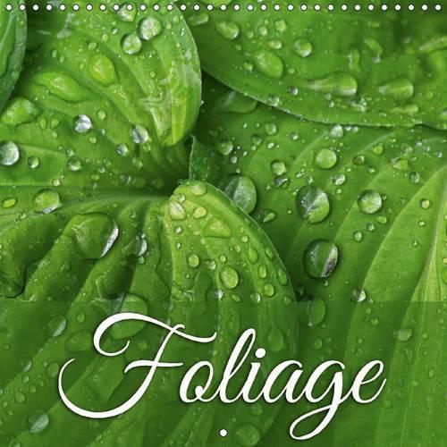 Foliage 2017: Enjoy 12 Stunning Variations of Foliage(Calvendo Nature)