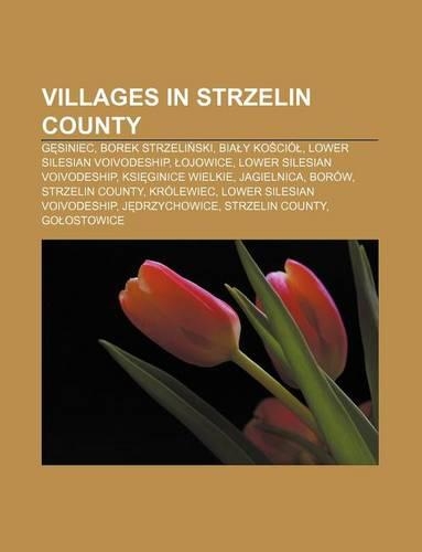 Villages in Strzelin County