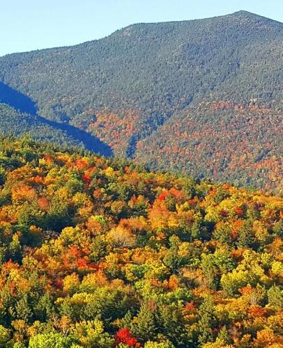 Fall School Composition Book Pretty Mountain Foliage 130 Pages