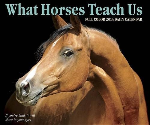 What Horses Teach Us