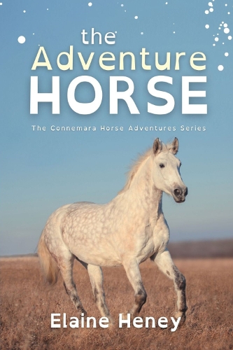 Adventure Horse - Dyslexia Friendly