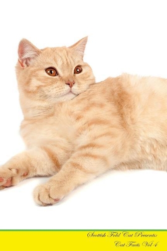 Scottish Fold Cat Presents