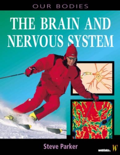 Brain and Nervous System