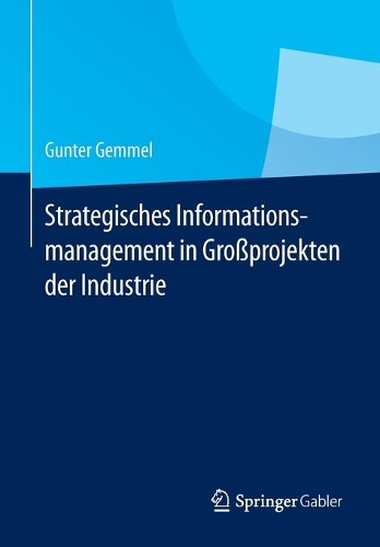 Strategisches Informationsmanagement in Großprojekten der Industrie