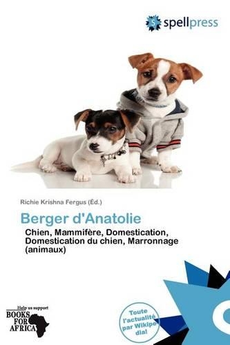 Berger D'Anatolie