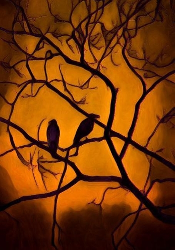 Halloween Activity Book: (90 Halloween Journals)