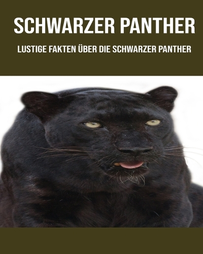 Schwarzer Panther