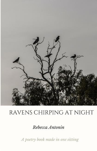 Ravens Chirping at Night