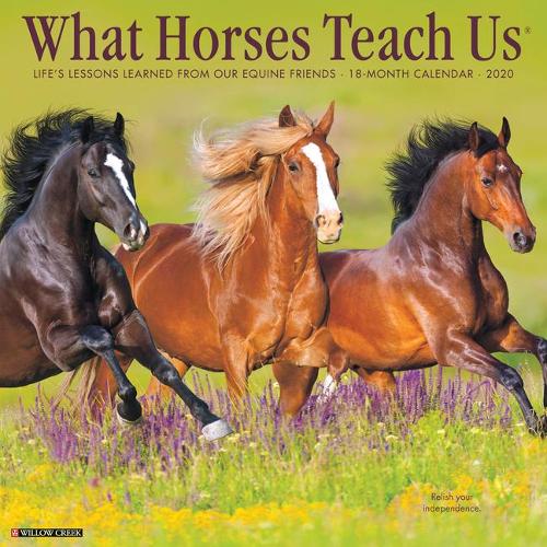 What Horses Teach Us 2020 Wall Calendar