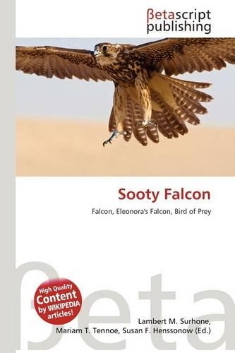 Sooty Falcon