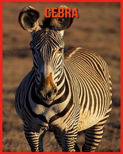 Cebra