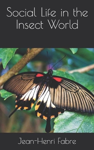 Social Life in the Insect World