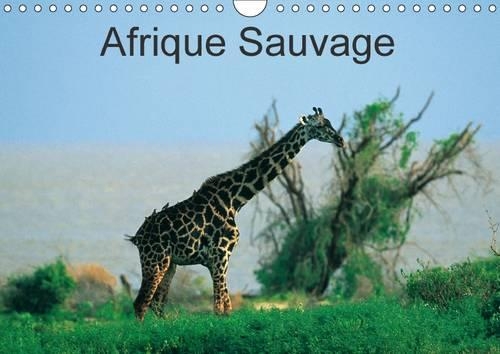 Afrique Sauvage 2017: Au c/Ur de la Nature de la Faune et des Ethnies(Calvendo Places)