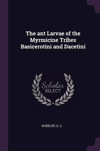The ant Larvae of the Myrmicine Tribes Basicerotini and Dacetini
