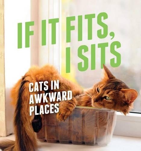 If It Fits, I Sits: Cats in Awkward Places(English)