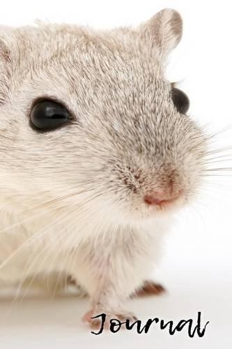 Journal