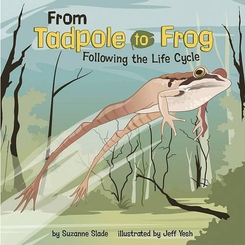 From Tadpole to Frog