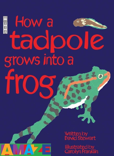How A Tadpole Grows Into A Frog