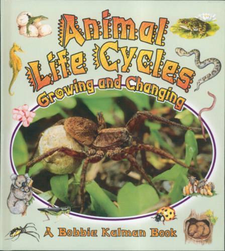 Animal Life Cycles