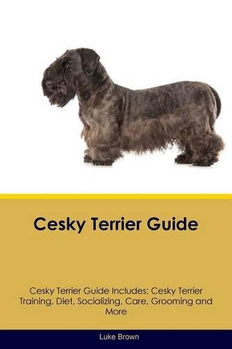 Cesky Terrier Guide Cesky Terrier Guide Includes: Cesky Terrier Training, Diet, Socializing, Care, Grooming, Breeding and More(English)