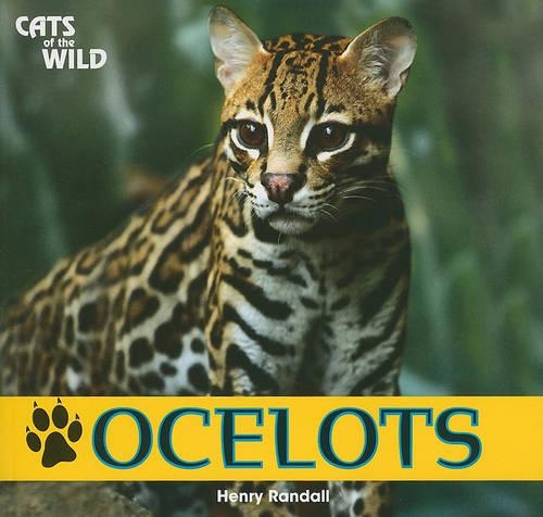 Ocelots