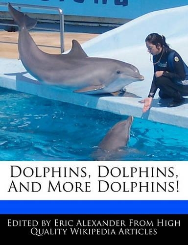 Dolphins, Dolphins, and More Dolphins!
