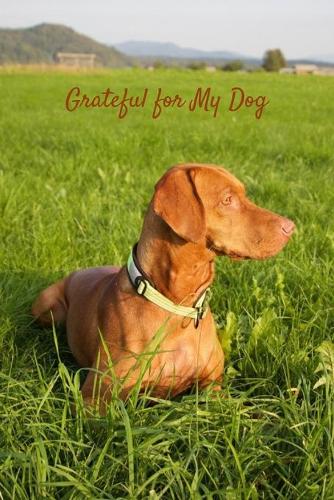 Grateful for My Dog
