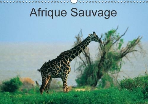 Afrique Sauvage 2017