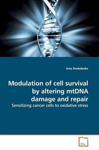 Modulation of cell survival by altering mtDNA damage and repair