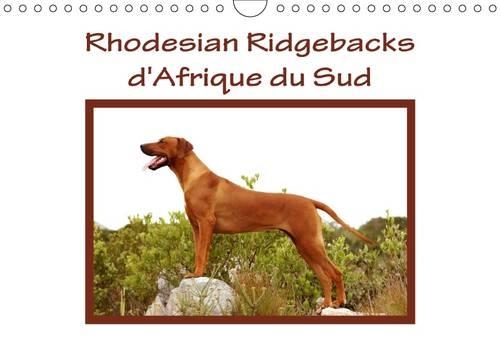 Rhodesian Ridgebacks d'Afrique du Sud 2017: Rhodesian Ridgebacks Photographies par Anke van Wyk dans Leur Pays d'Origine, l'Afrique du Sud(Calvendo Animaux)