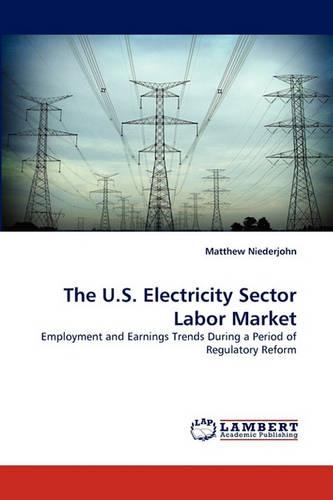 The U.S. Electricity Sector Labor Market