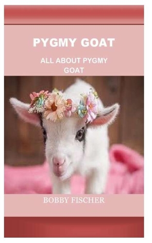 Pygmy Goat: All about Pygmy Goat