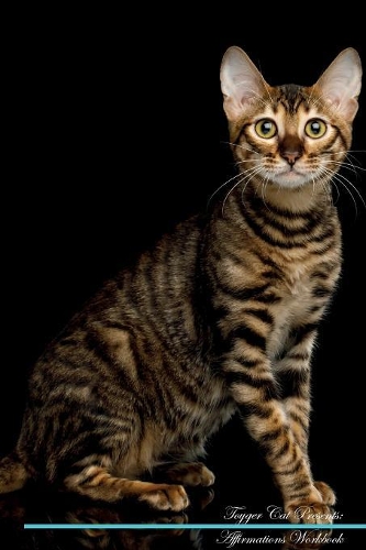 Toyger Cat Affirmations Workbook Toyger Cat Presents: Positive and Loving Affirmations Workbook. Includes: Mentoring Questions, Guidance, Supporting You.