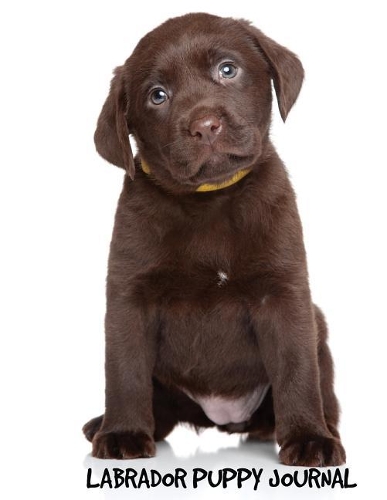 Labrador Puppy Journal