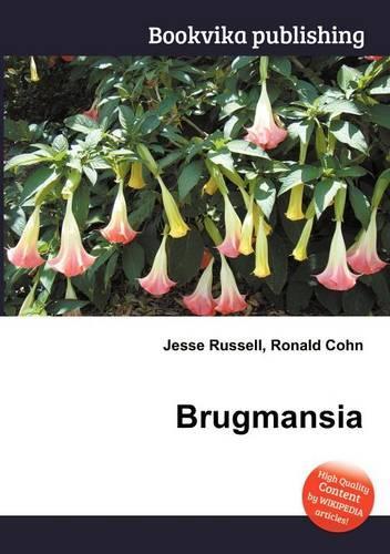 Brugmansia
