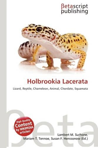 Holbrookia Lacerata: (English)