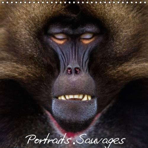 Portraits Sauvages 2017