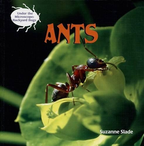 Ants
