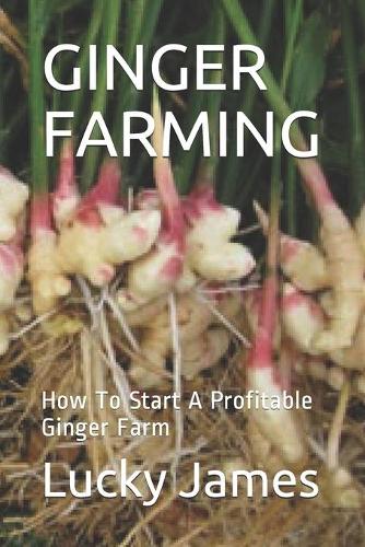 Ginger Farming