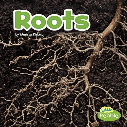 Plant Parts Roots