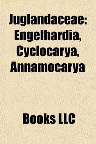 Juglandaceae Juglandaceae