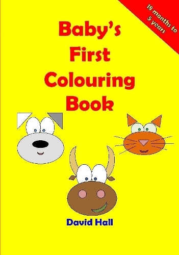 Baby's First Colouring Book: (English)