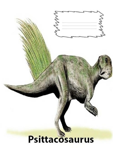 Psittacosaurus Dinosaur College lined paper composition book